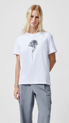 Rose Logo Peached Graphic T-Shirt