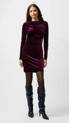 Viola Velvet Bodycon Dress