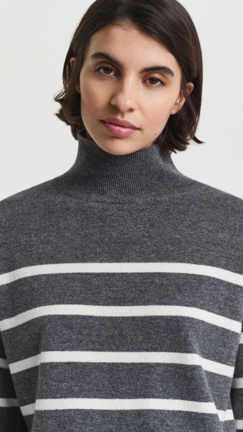 Striped Superfine Lambswool Turtleneck Sweater