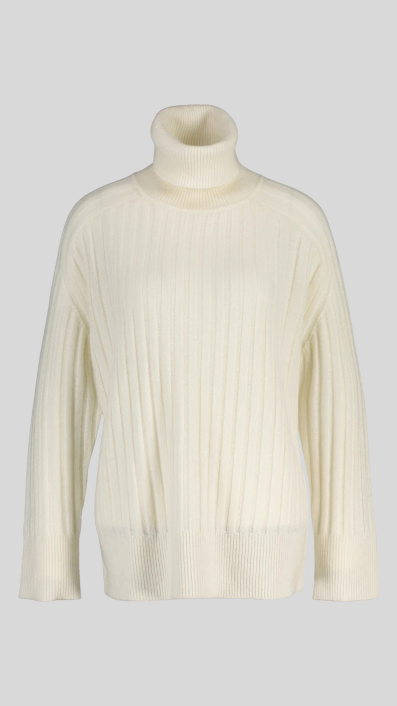 Wool Ribbed Turtleneck